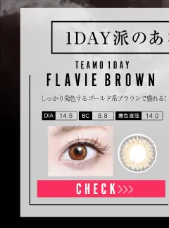 フラヴィブラウン（1DAY）