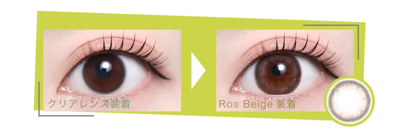 ロスベージュ着画