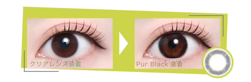 ピュールブラック着画