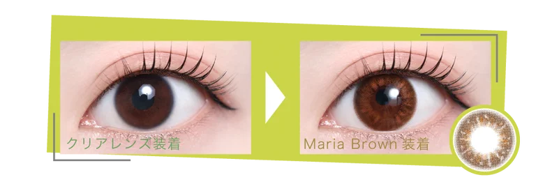 マリーアブラウン着画