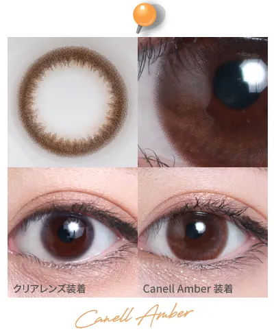 14.5mm Canell Amber 着画