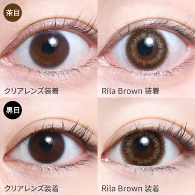 Rila Brown 着画
