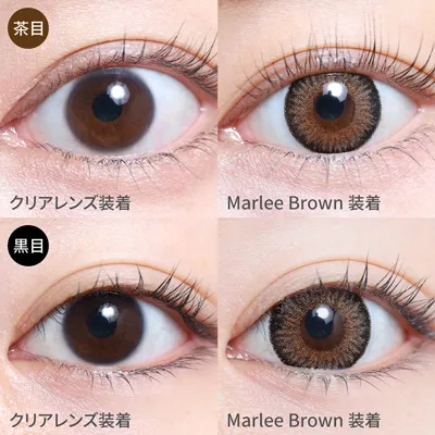 Marlee Brown 着画