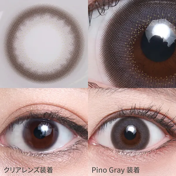 ピノグレーの着画