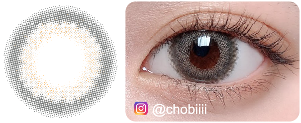 フェリスグレーの着画