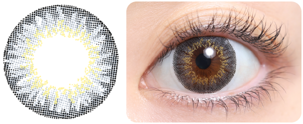 ディ.アモールグレーの着画