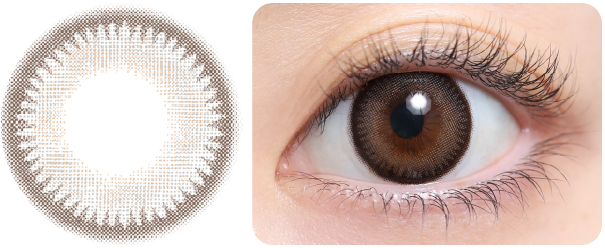 マロージュグレーの着画