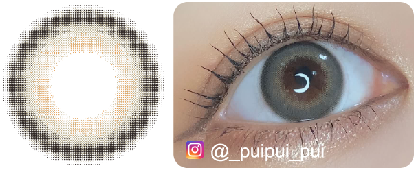 ダスグレージュの着画