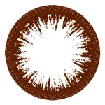 ナチュラルブラック（14.5）レンズ画像