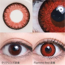 フランメレッド着画サムネ