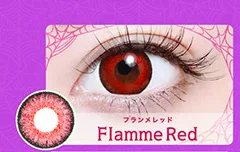 フランメレッド（1DAY）