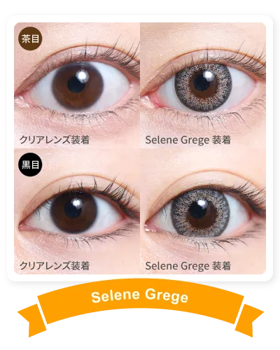 14.5mm Serene Grege 着画