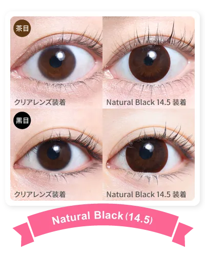 14.5mm NaturalBlack 着画