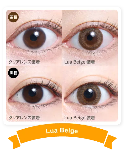 14.5mm LuaBeige 着画