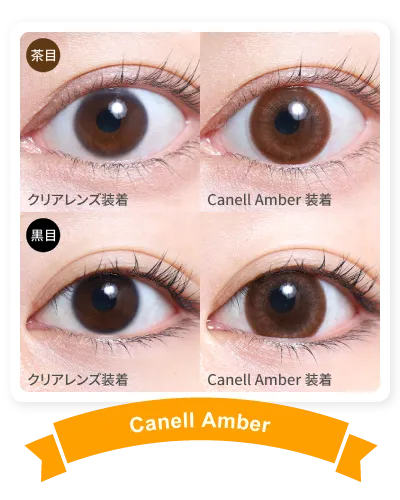 14.5mm CanellAmber 着画
