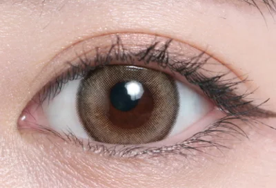 フルールラテ片目着画