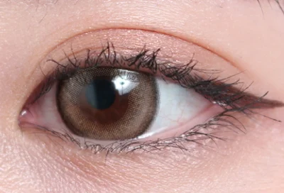 フルールラテ片目着画