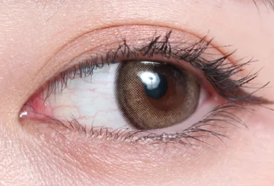 フルールラテ片目着画