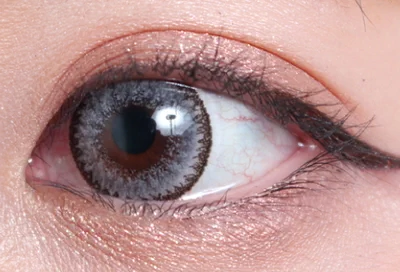 クラッシーグレー片目着画