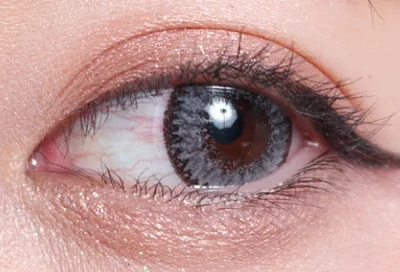 クラッシーグレー片目着画