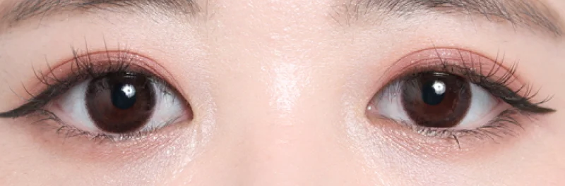 エルモブラウン両目着画