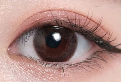 エルモブラウン片目着画