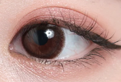 エルモブラウン片目着画