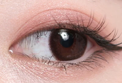 エルモブラウン片目着画