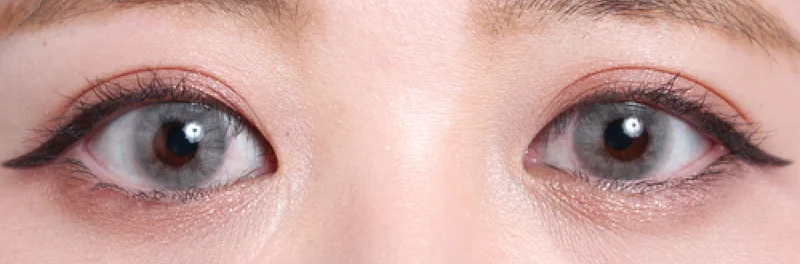 ジフェードグレー両目着画