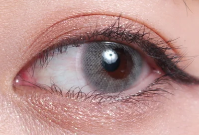 エフェードグレー片目着画