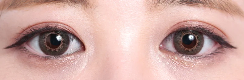 モカオリーブ両目着画