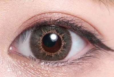 モカオリーブ片目着画