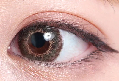 モカオリーブ片目着画