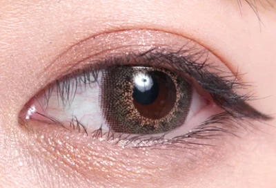 モカオリーブ片目着画