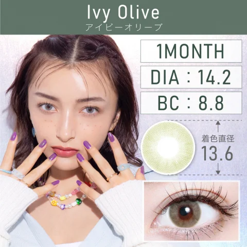 アイビーオリーブ Ivy Olive