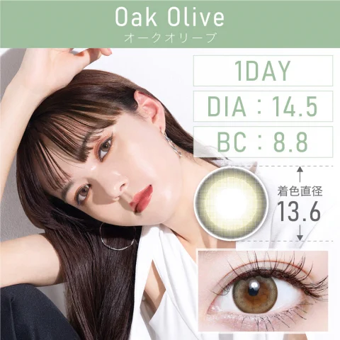 オークオリーブ Oak Olive